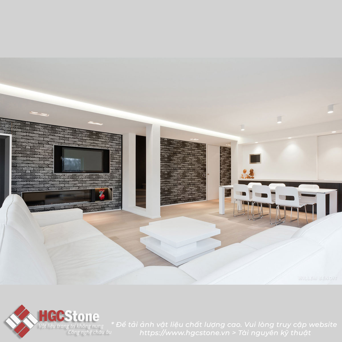 Gạch cổ ghi tối hgcstone